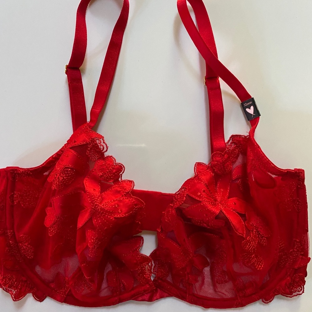 Victoria’s Secret Plunge Lace Bra